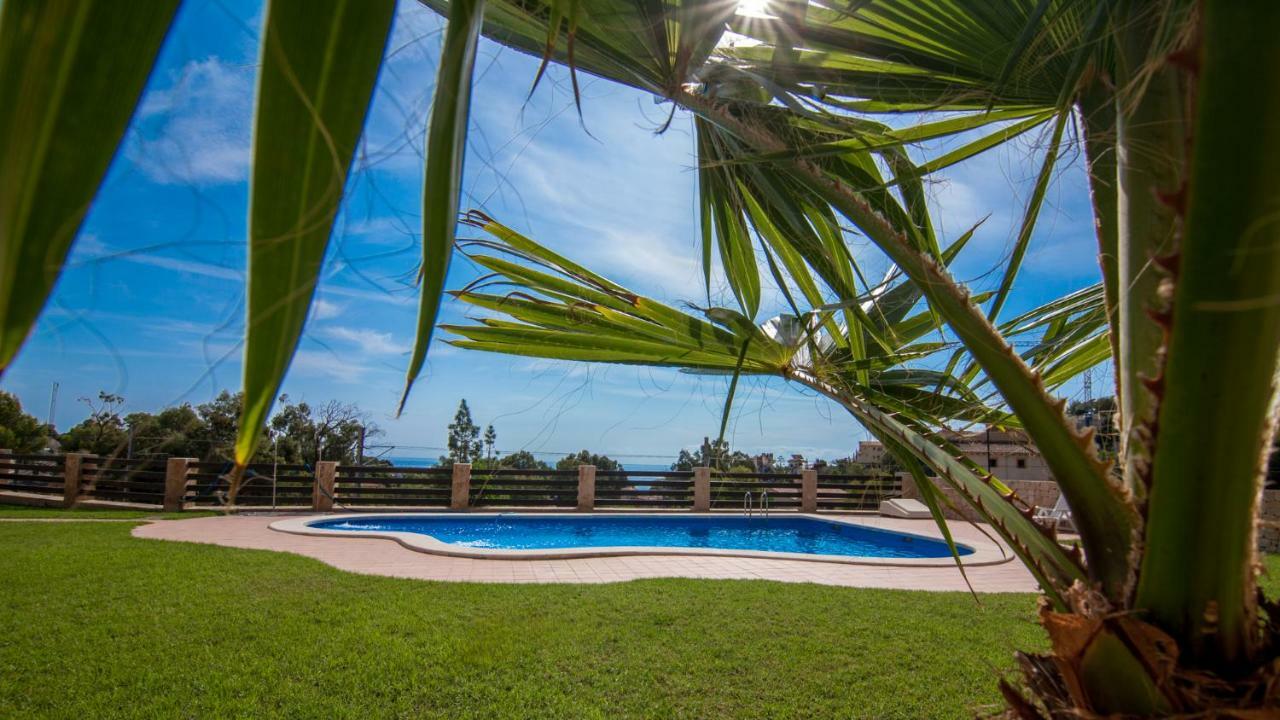 Villa Paradise Campello El Campello Exteriör bild